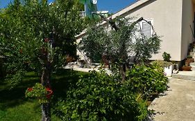 Olive Grove